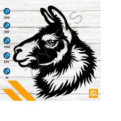 amazing alpaca face - alpaca head svg file