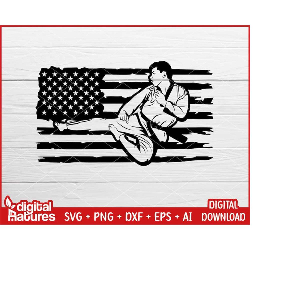 MR-213202423957-usa-flag-taekwondo-svg-1-martial-arts-svg-mma-svg-karate-svg-png-cut-file-vector-for-taekwondo-lover-image-1.jpg