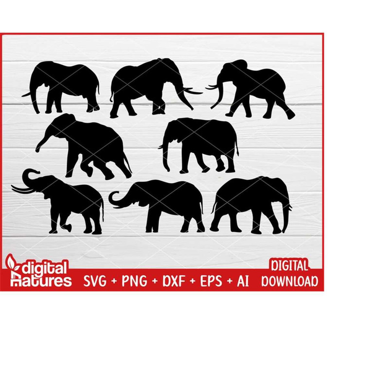 MR-223202404429-bundle-elephant-svg-elephant-png-elephant-cut-file-elephant-clipart-for-elephant-lovers-image-1.jpg