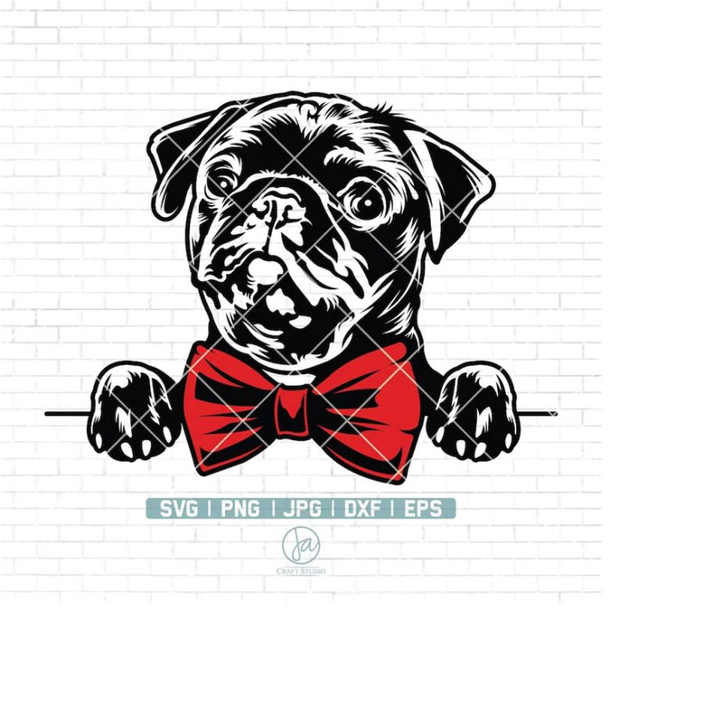 MR-2232024153021-cute-pug-face-svg-pug-svg-pug-png-cute-pug-clipart-pug-cut-file-dog-svg-cute-dog-dog-bowtie-dog-clipart-cute-pug-bowtie-image-1.jpg