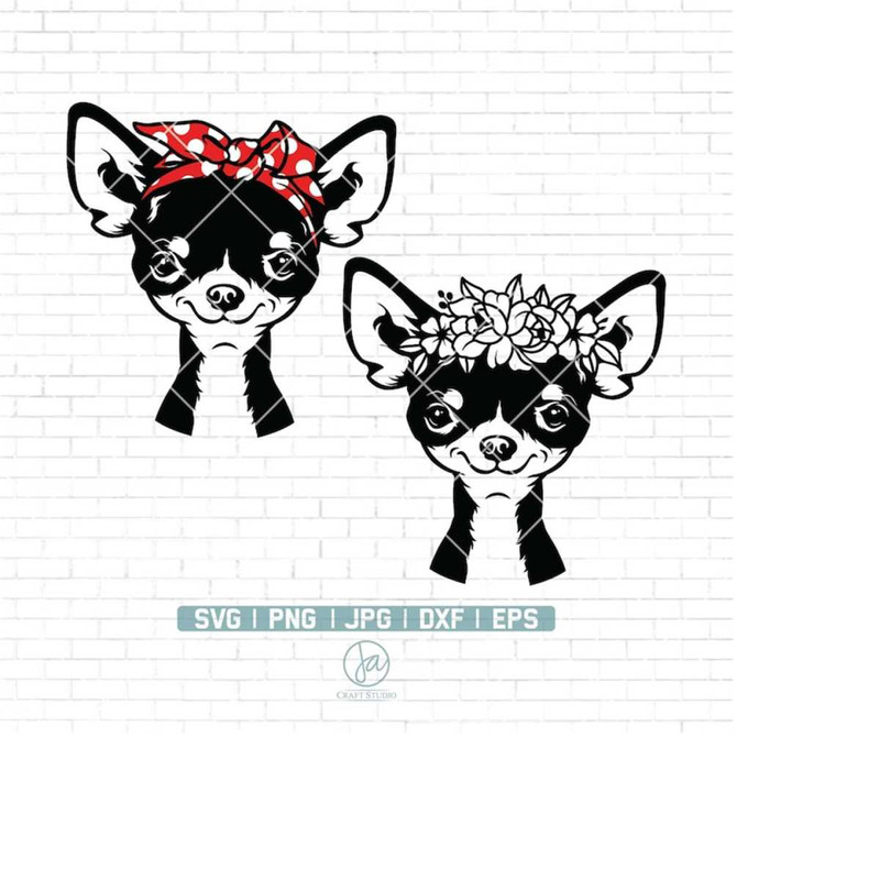 MR-2232024154020-chihuahua-svg-chiuhuahua-with-flower-crown-svg-chihuahua-clipart-pet-face-svg-dog-svg-dog-clipart-chihuahua-png-cutting-files-image-1.jpg