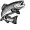 MR-223202417422-trout-fishing-svg-png-files-jumping-trout-fish-clipart-silhouette-fisherman-vector-image-svg-shirts-design-rainbow-spotted-trout-png-image-1.jpg