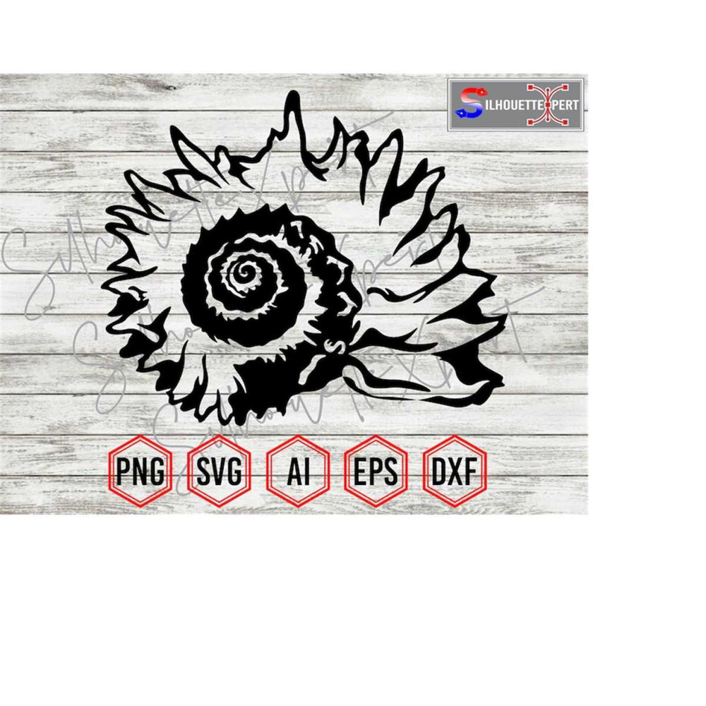MR-223202422125-seashell-silhouette-11-seashell-svg-ocean-creatures-svg-clipart-cricut-cnc-laser-decal-sticker-t-shirt-file-image-1.jpg
