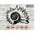 MR-223202422125-seashell-silhouette-11-seashell-svg-ocean-creatures-svg-clipart-cricut-cnc-laser-decal-sticker-t-shirt-file-image-1.jpg