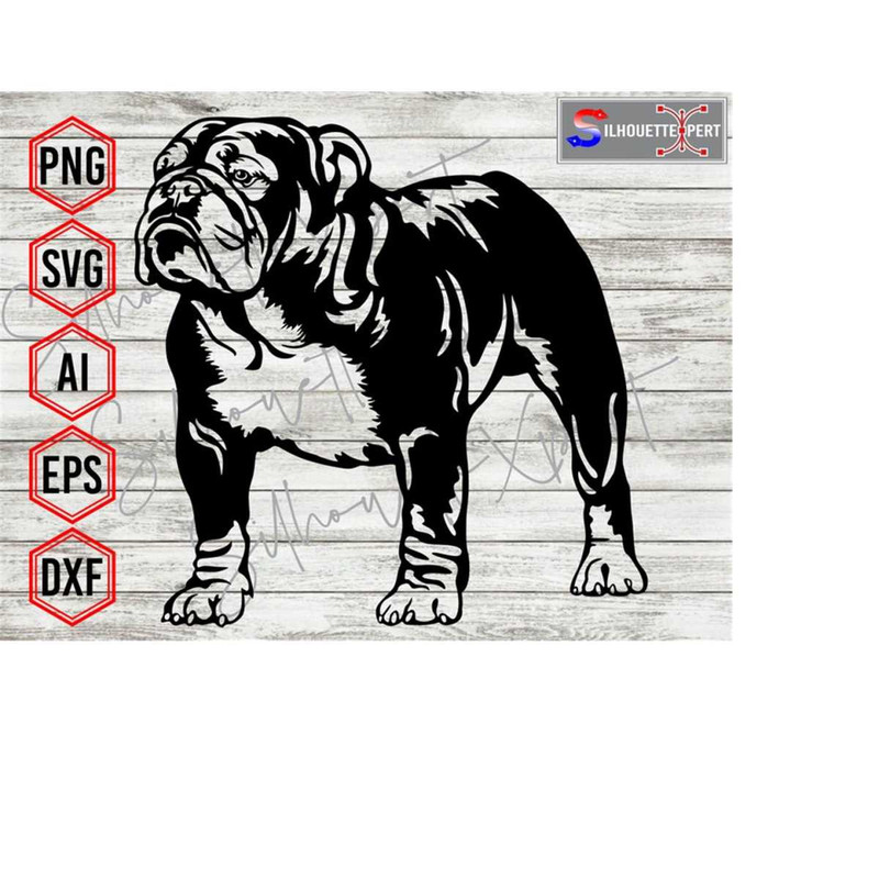MR-2232024221032-british-bulldog-svg-bulldog-svg-dog-svg-pet-svg-cricut-cnc-laser-vinyl-cutter-decal-sticker-t-shirt-file-image-1.jpg