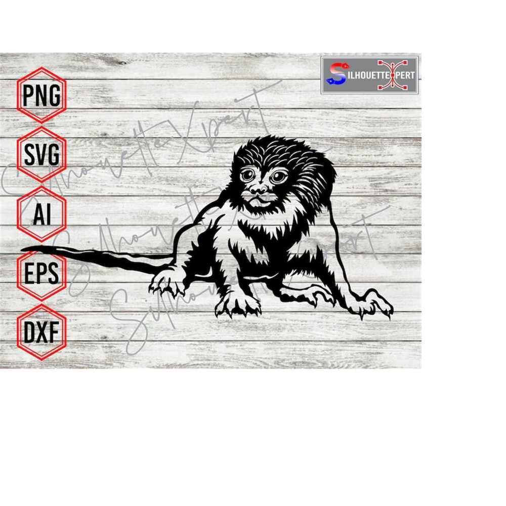 MR-2232024221653-crawling-pygmy-marmoset-svg-smallest-monkey-svg-animal-svg-clipart-cricut-cnc-vinyl-cutter-decal-sticker-t-shirt-file-image-1.jpg