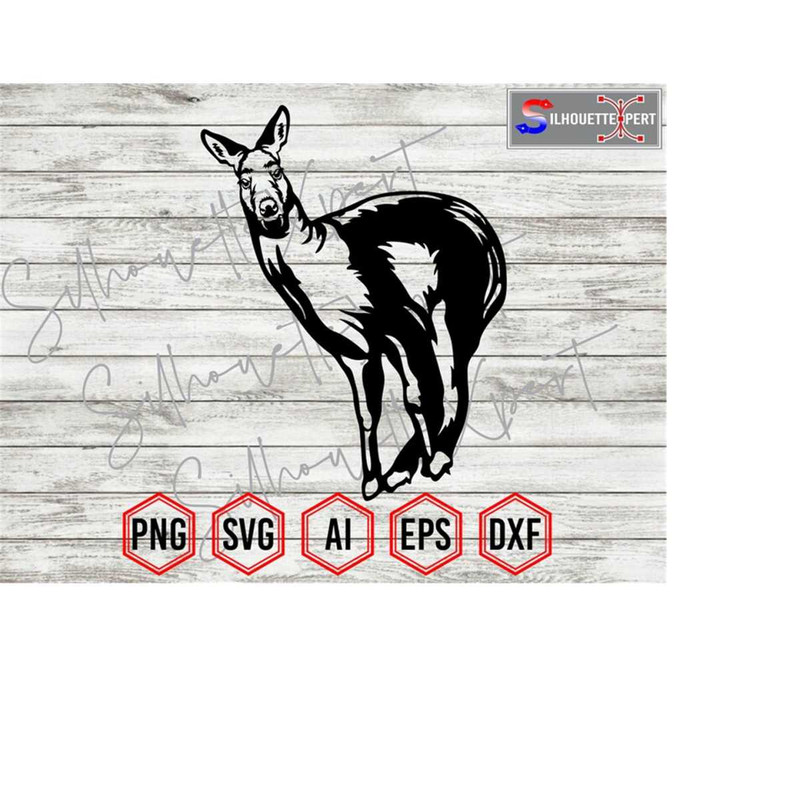 MR-2232024222111-musk-deer-svg-deer-svg-indian-musk-deer-svg-himalayan-musk-deer-svg-clipart-cricut-cnc-vinyl-cutter-decal-sticker-t-shirt-file-image-1.jpg
