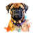 MR-2332024131912-watercolor-bullmastiff-puppy-dog-with-collar-transparent-4-png-clipart-printable-t-shirt-mug-tumbler-sublimation-clip-art-commercial-image-1.jp