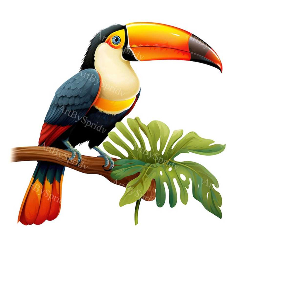 MR-2332024165724-exotic-tropical-bird-toucan-on-branch-clip-art-printable-t-shirt-mug-sublimation-transparent-png-clipart-commercial-digital-download-image-1.jp
