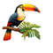 MR-2332024165724-exotic-tropical-bird-toucan-on-branch-clip-art-printable-t-shirt-mug-sublimation-transparent-png-clipart-commercial-digital-download-image-1.jp