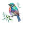 MR-2332024173937-vibrant-watercolor-bird-clipart-printable-sublimation-png-crafting-diy-projects-design-t-shirt-tumbler-mug-digital-download-artwork.jpg