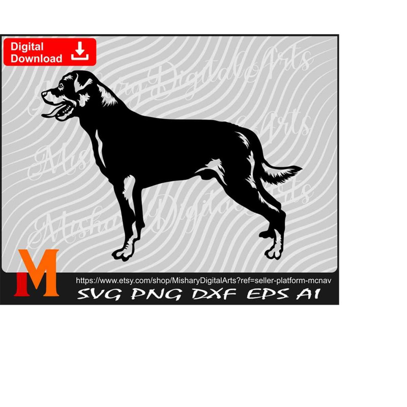 MR-233202418391-rottweiler-svg-rottweiler-silhouette-rottweiler-clipart-cricut-file-cuttable-file-instant-digital-downloads-image-1.jpg