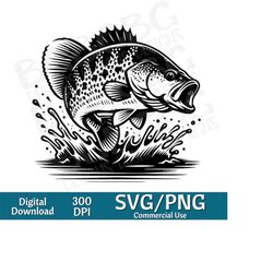 crappie svg, white perch svg, sac-a-lait svg, svg, png, vector graphic, laser engraver, cnc, clip art,