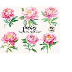 watercolor peony png clipart, watercolor clipart, flowers png, floral clipart png, digital instant download, commercial