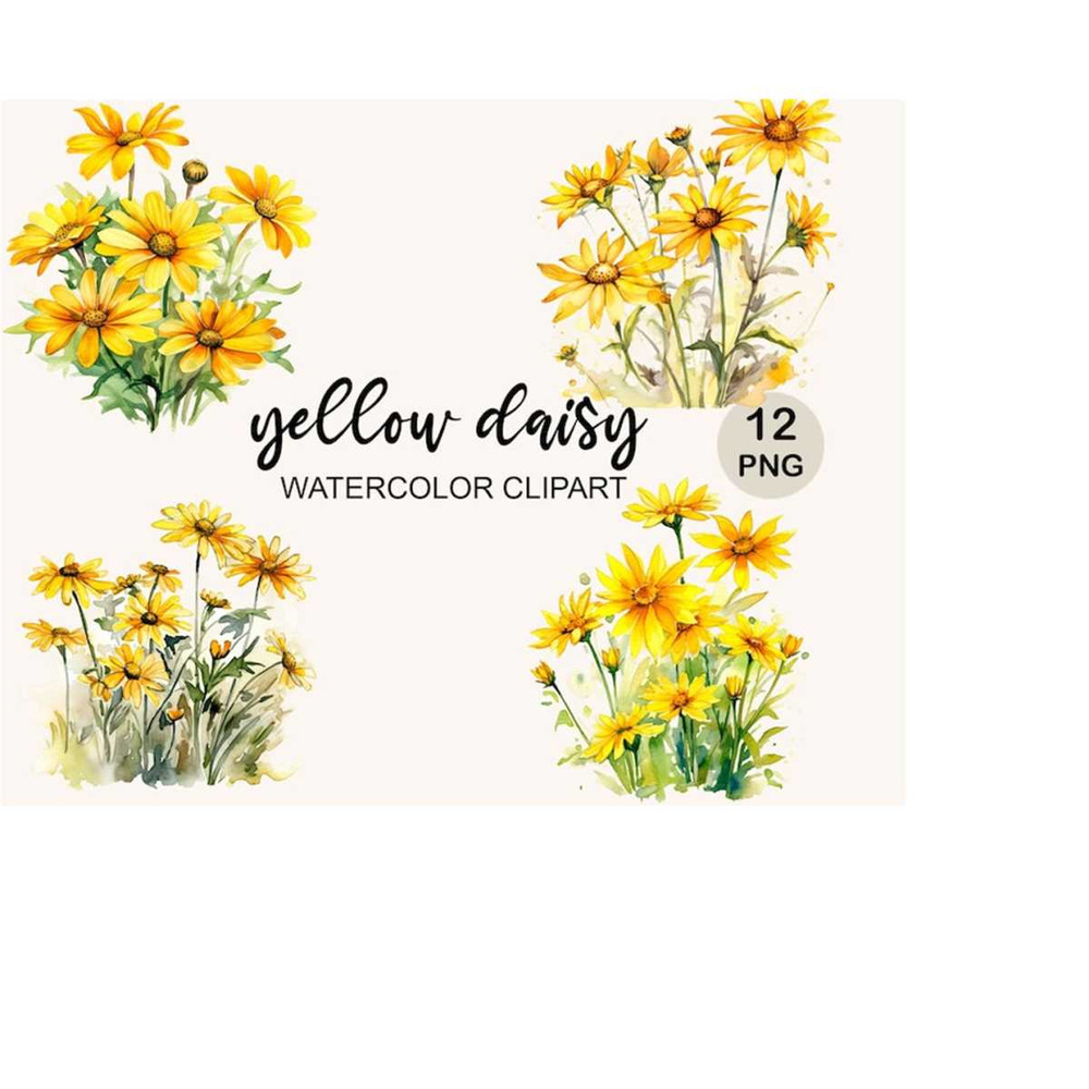 MR-2432024233042-daisy-watercolor-clipart-png-yellow-daisy-png-botanical-clip-art-flowers-png-wild-flowers-png-digital-download-commercial-use-bundle-image-1.jp