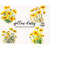 MR-2432024233042-daisy-watercolor-clipart-png-yellow-daisy-png-botanical-clip-art-flowers-png-wild-flowers-png-digital-download-commercial-use-bundle-image-1.jp