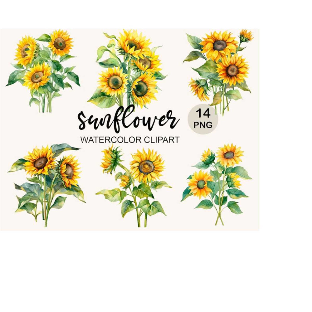 MR-2432024233245-watercolor-sunflowers-clipart-fall-sunflower-png-watercolor-clipart-floral-bouquets-png-instant-download-commercial-use-bindle-image-1.jpg
