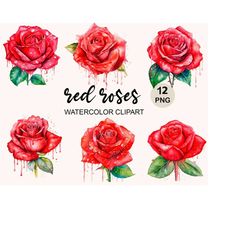 watercolor red rose png clipart, watercolor clipart, flowers, floral, roses clipart, png digital instant download, comme