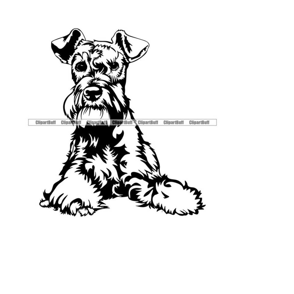 MR-2632024172438-schnauzer-dog-breed-animal-pet-canine-pup-puppy-doggy-pet-animal-pedigree-purebred-miniature-large-portrait-art-logo-design-jpg-png-svg-cut-ima