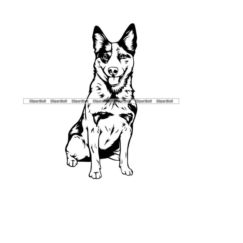 MR-263202421549-australian-cattle-dog-sit-sitting-animal-pet-canine-k9-pup-puppy-doggy-pet-animal-pedigree-purebred-company-art-logo-design-jpg-png-svg-cut-imag
