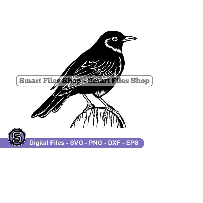 MR-26320240114-blackbird-svg-bird-svg-blackbird-dxf-blackbird-png-blackbird-clipart-blackbird-files-eps-image-1.jpg