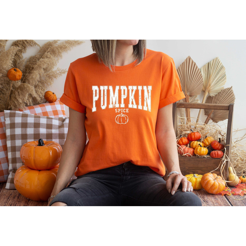 Retro Pumpkin Spice Shirt, Pumpkin Tshirt, Thanksgiving Day Shirt, Pumpkin Lover Sweater, Fall Vibes Tshirt, Pumpkin Spice Season Gift.jpg