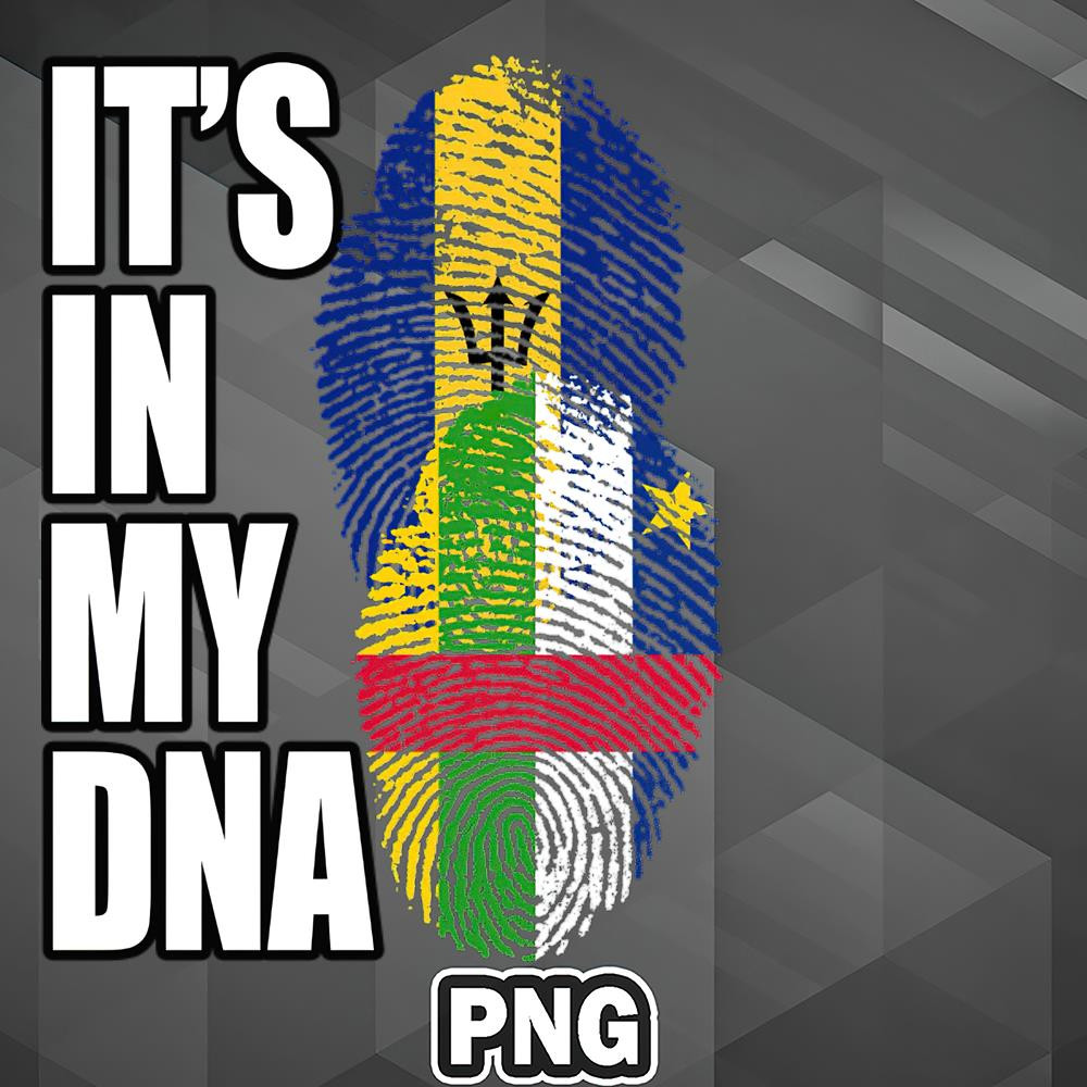 AHT1107231335205-African PNG Barbadian And Central African Mix Heritage DNA Flag PNG For Sublimation Print.jpg