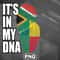 AHT1107231335223-African PNG Beninese And South African Mix Heritage DNA Flag PNG For Sublimation Print.jpg