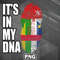 FRI1107231313674-African PNG Omani And Central African Vintage Heritage DNA Flag PNG For Sublimation Print.jpg