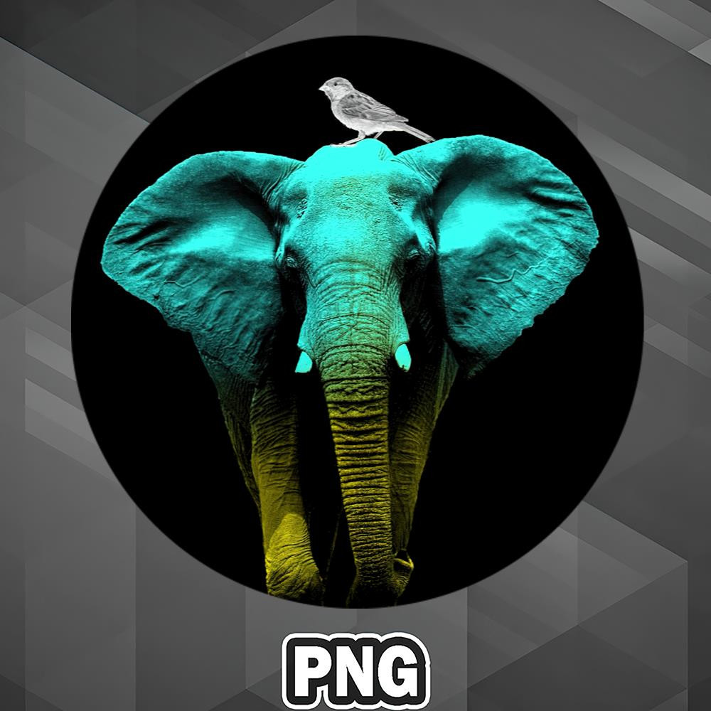 ARA13072310401275-Animal Rights Awareness PNG Elephant and a Sparrow PNG For Sublimation Print_PNG_Design.jpg