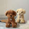 Crochet Pattern Maltipoo Dog 2