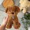 Crochet Pattern Maltipoo Dog 1