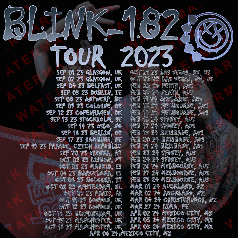 BLINK 182 TOUR 2023 Concert Album Tshirt Adult S5XL Youth Babies Toddler 1 1