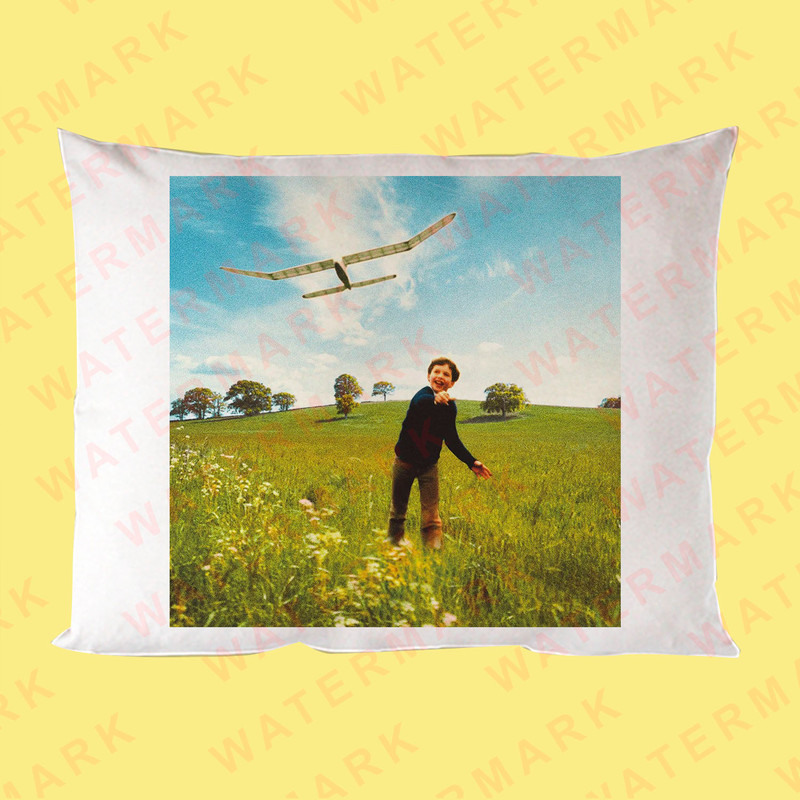 JAMES BLUNT WHO WE USED TO BE Pillow Cases 1 0