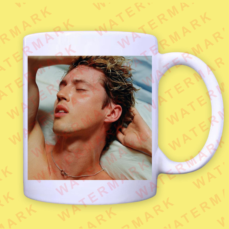 TROYE SIVAN SOMETHING TO GIVE EACH OTHER Mug 1 0