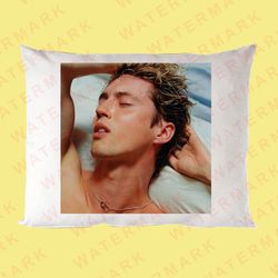 troye sivan - something to give each other pillow cases 1