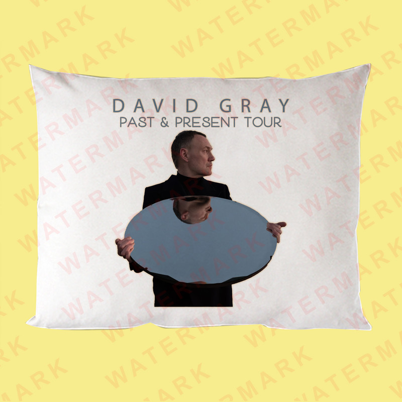 DAVID GRAY PAST  PRESENT WORLD TOUR 2025 Pillow Cases 0