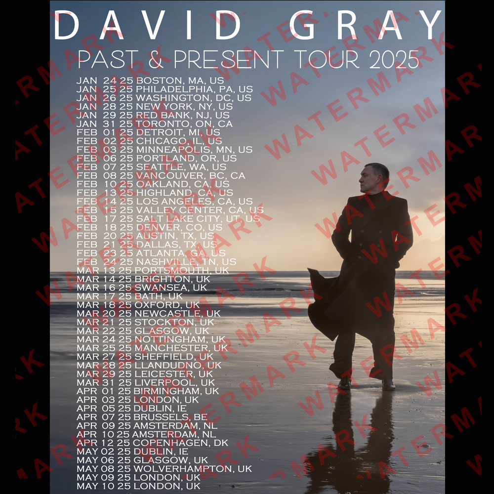 DAVID GRAY PAST PRESENT WORLD TOUR 2025 Concert Album Tshirt Adult S5XL Youth Babies Toddler 1