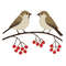 A Pair Of Birds On A Branch Cross Stitch Pattern PDF Instant Download 0