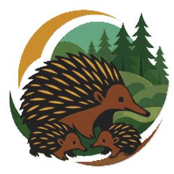 australian echidna with family - cross stitch pattern pdf - instant download