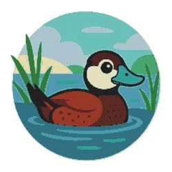 australian white-headed duck swimming in water - cross stitch pattern pdf - instant download