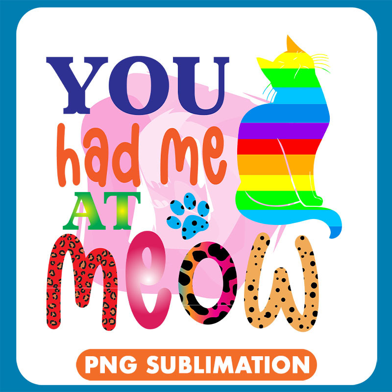 You Had Me At Meow Rainbow Cat copy .jpg