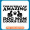 This Is What An Amzaing Dog Mom Looks Like copy .jpg