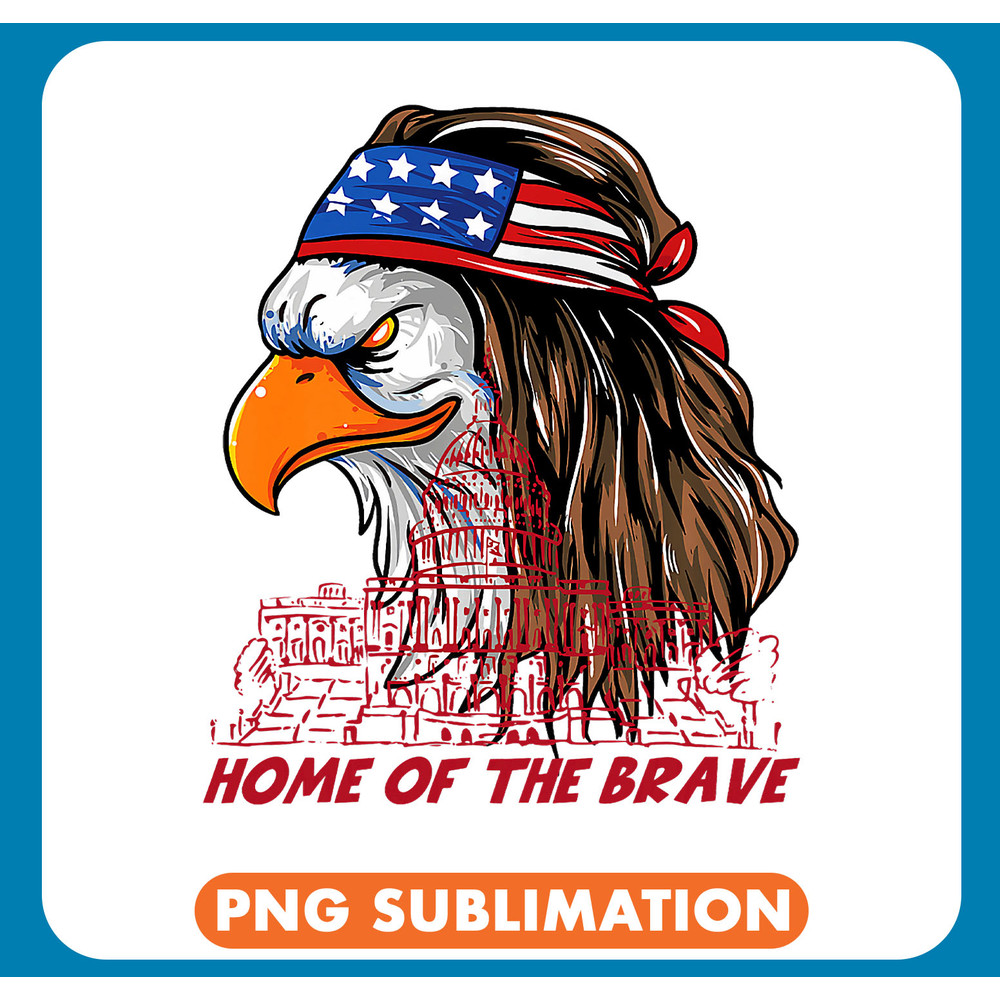 4th of July Patriotic America 2USA American Eagle Patriot 211 .jpg