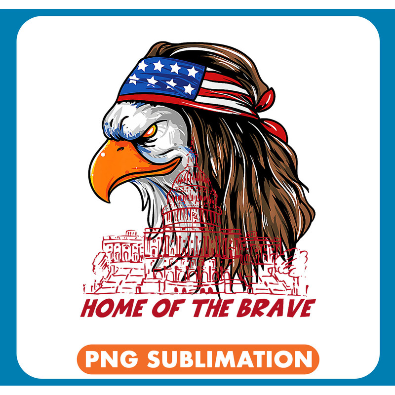 4th of July Patriotic America 2USA American Eagle Patriot 211 .jpg