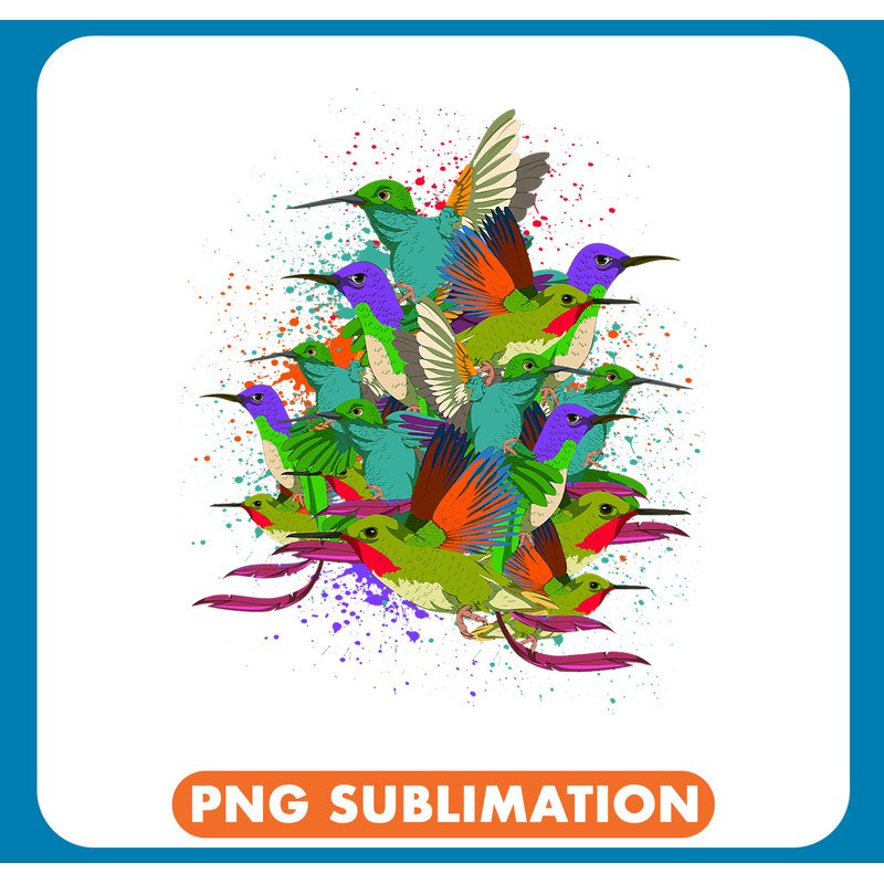 Animal Lover Pretty Bird Beautiful Colorful Hummingbird .jpg