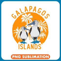 boobies seabirds bluefooted booby bird 1 png