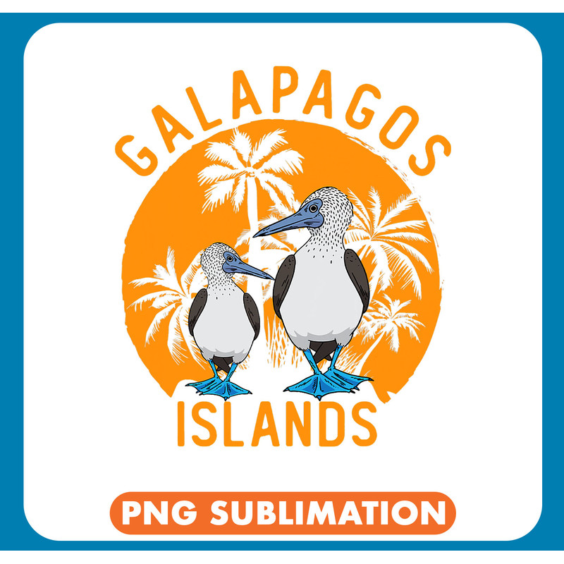 Boobies Seabirds Bluefooted Booby Bird 1 .jpg