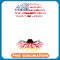 Born German Germany American USA Citizenship .jpg