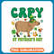 Capybara Lover Capy St Patricks Day Funny Capybara Shamrock Lucky Kids .jpg